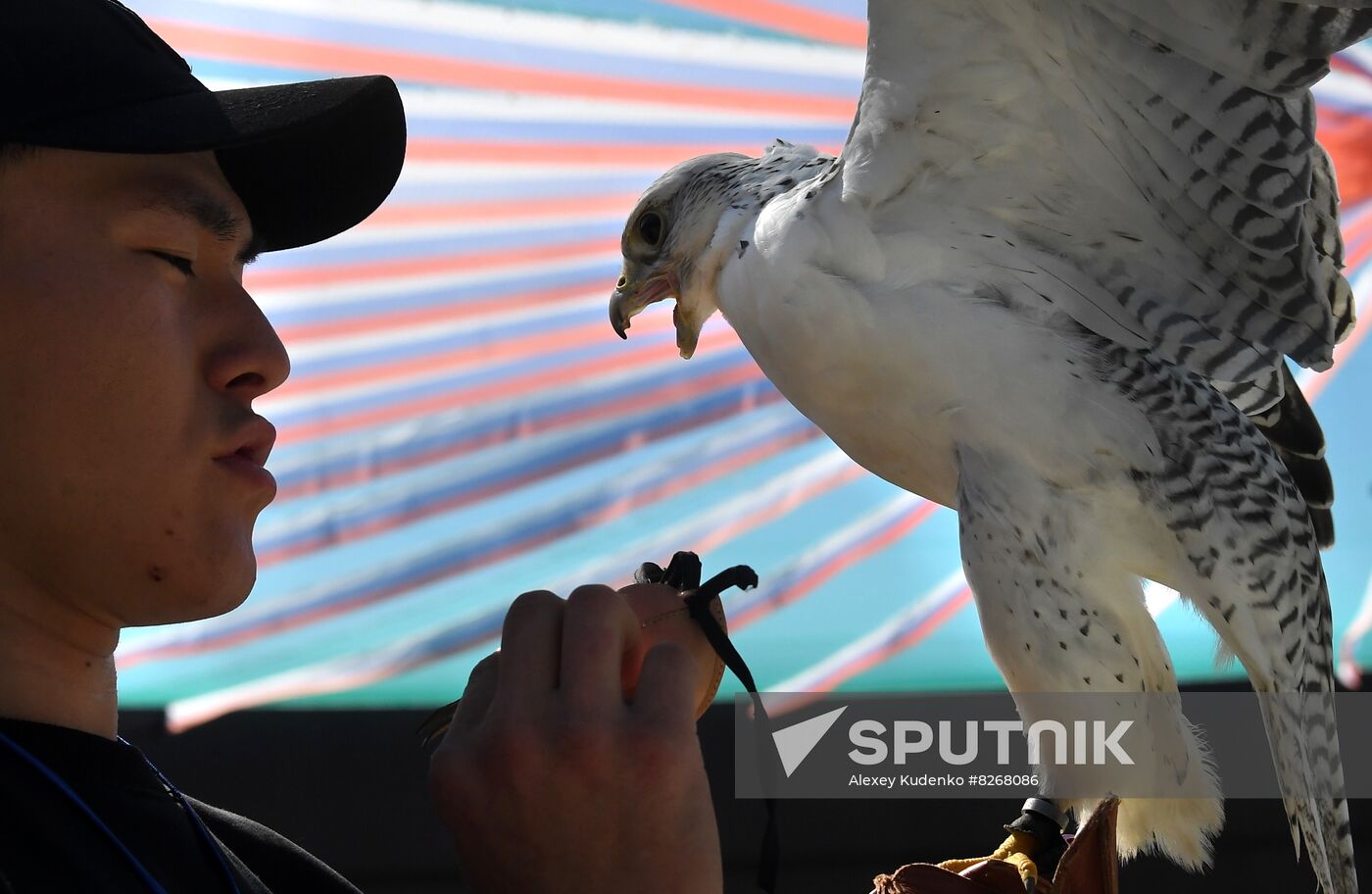 Russia Falcon Centre