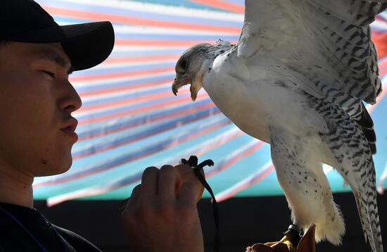 Russia Falcon Centre