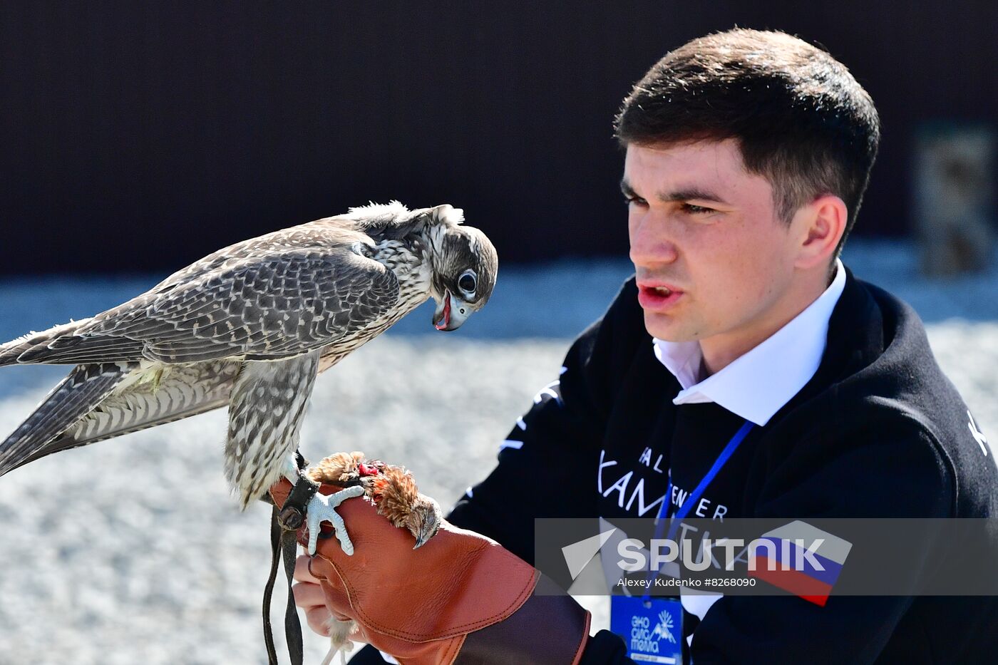 Russia Falcon Centre