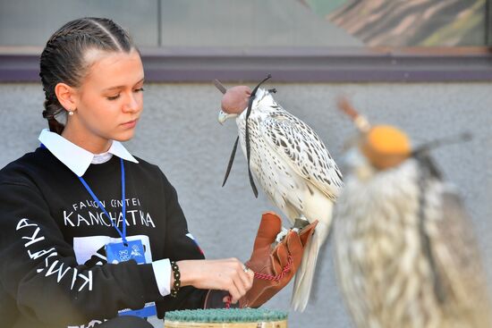 Russia Falcon Centre