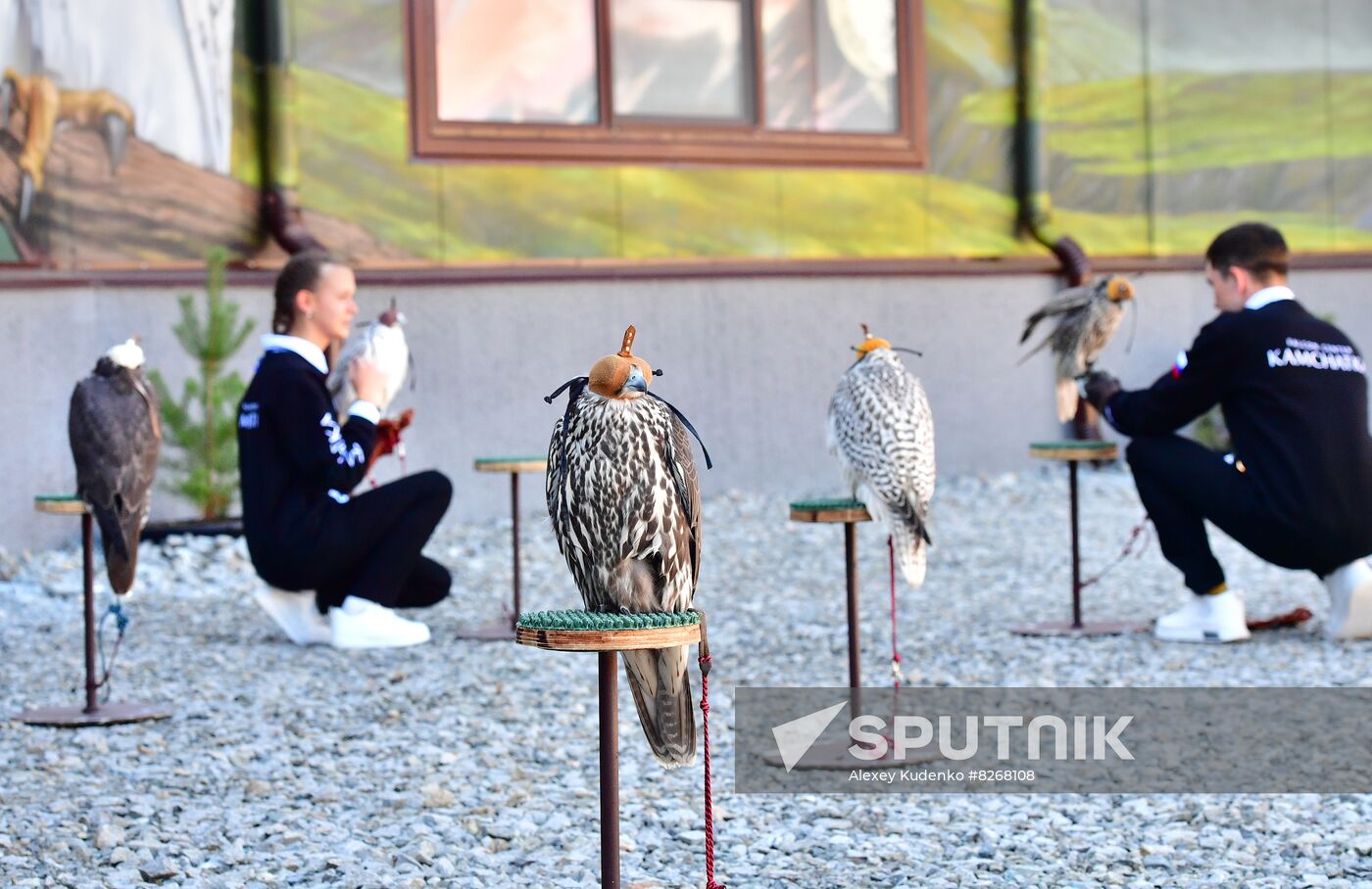 Russia Falcon Centre