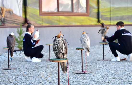 Russia Falcon Centre