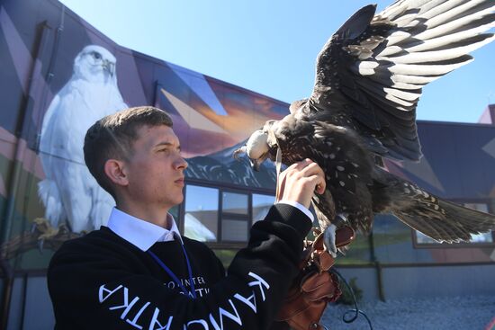 Russia Falcon Centre