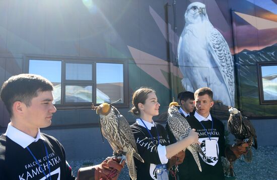 Russia Falcon Centre