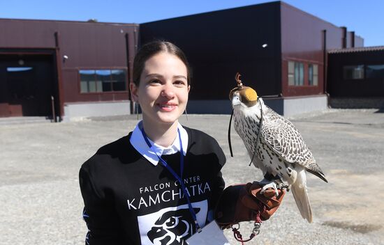 Russia Falcon Centre