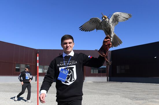 Russia Falcon Centre