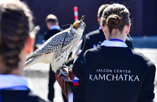 Russia Falcon Centre