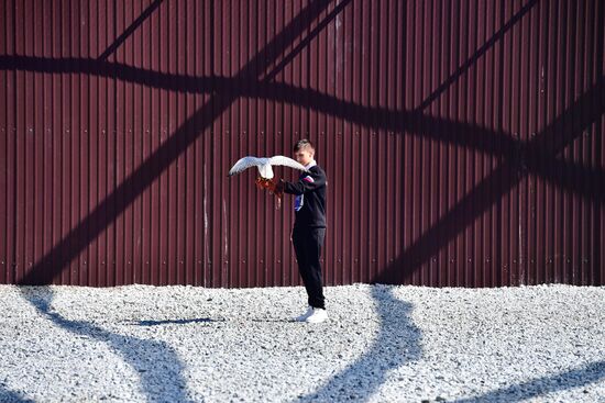 Russia Falcon Centre
