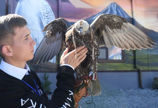 Russia Falcon Centre