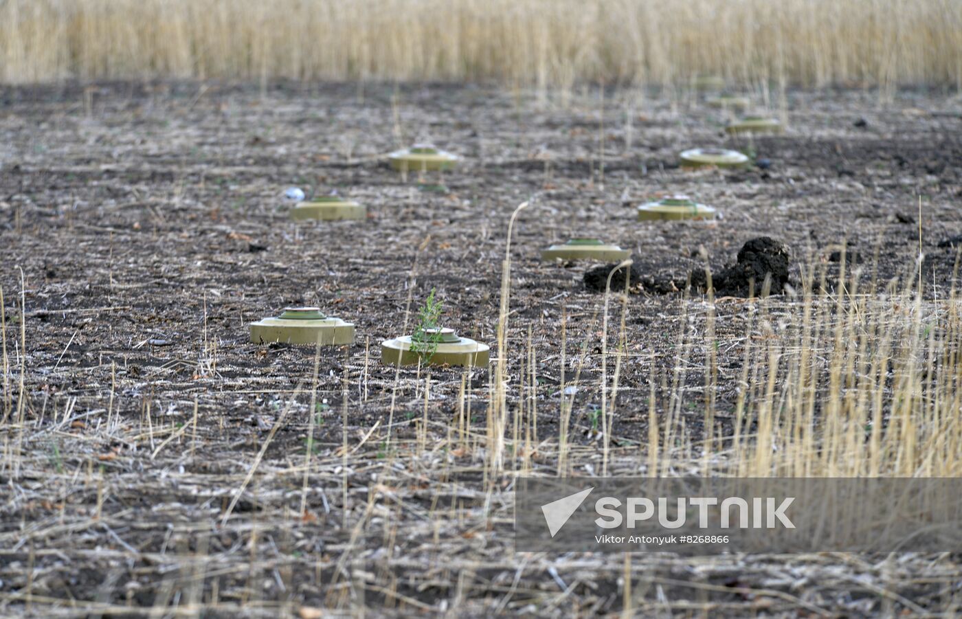 DPR Russia Ukraine Military Operation Wagner Group