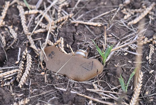 DPR Russia Ukraine Military Operation Wagner Group