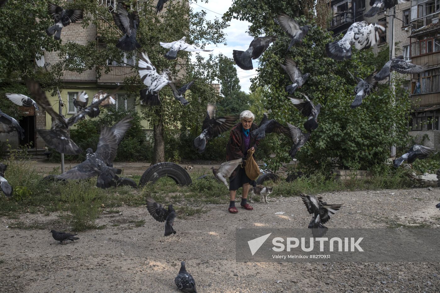 LPR Russia Ukraine Military Operation Daily Life