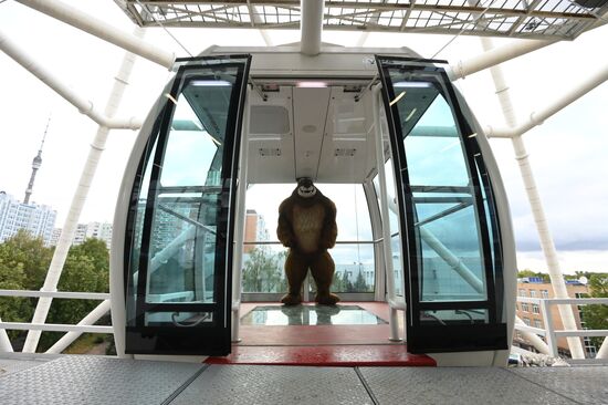 Russia Ferris Wheel Opening