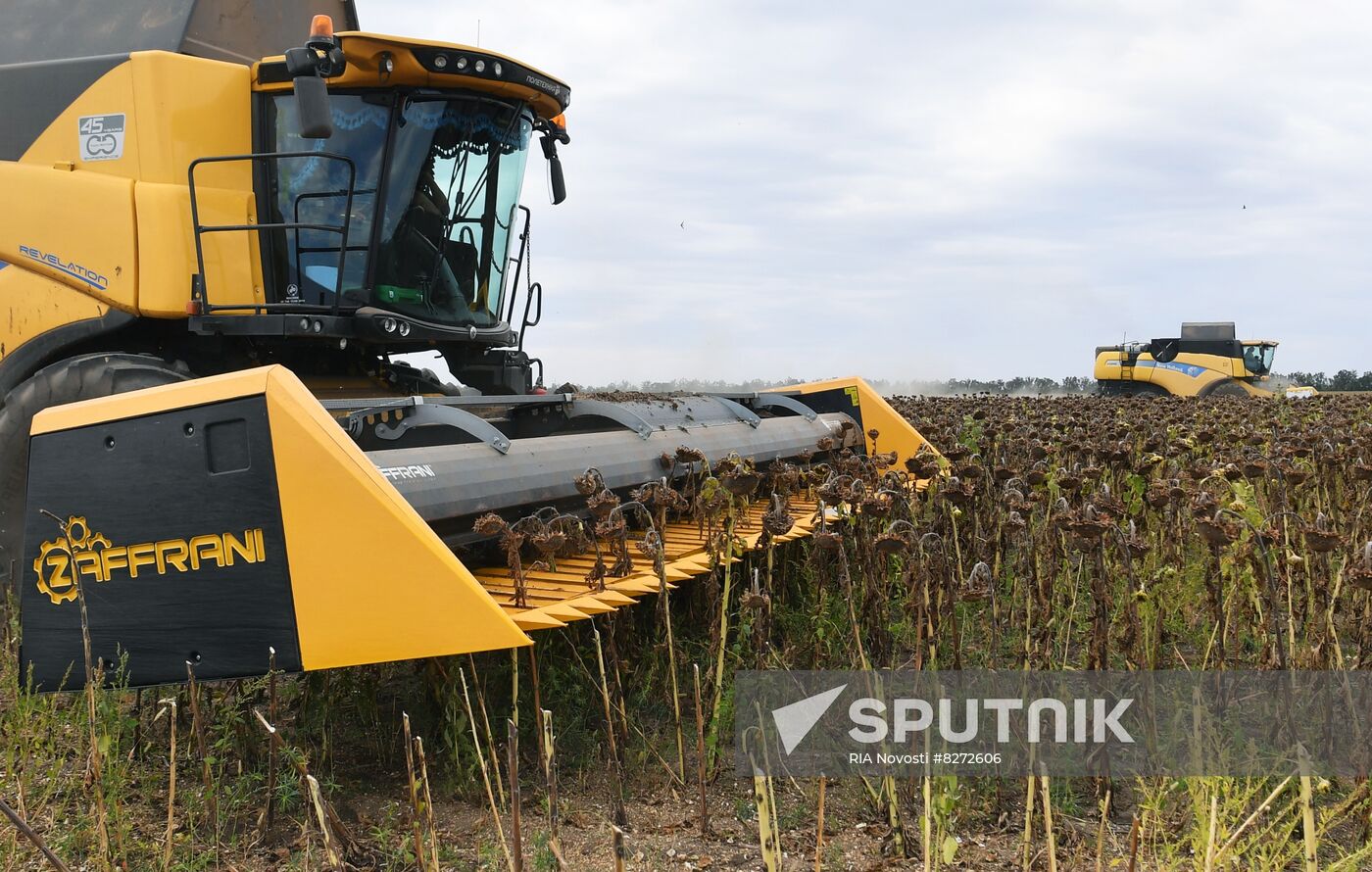 Ukraine Russia Military Operation Sunflower Harvesting