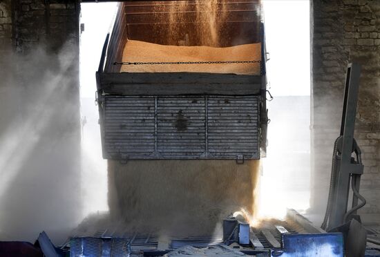 Ukraine Russia Military Operation Grain Elevator