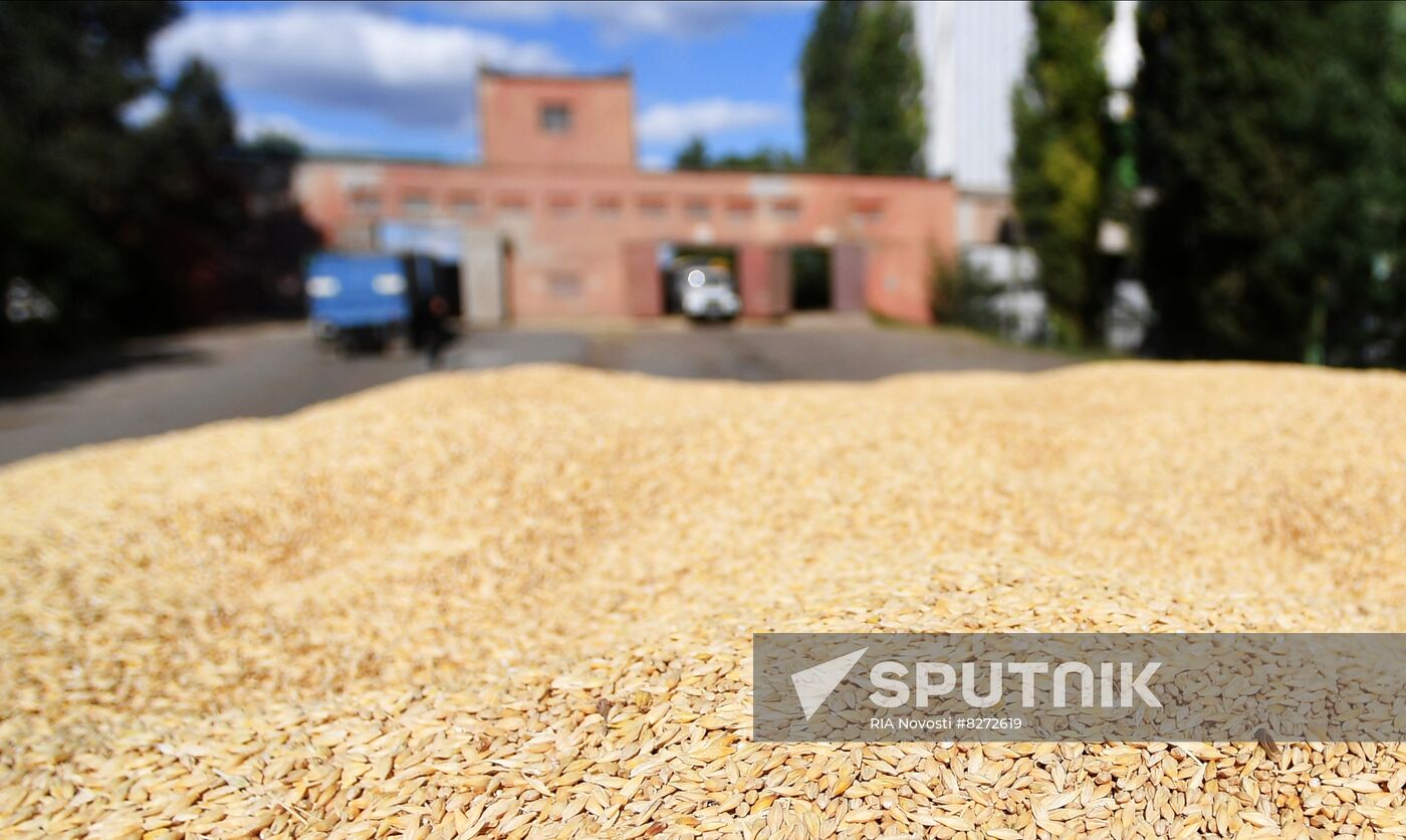 Ukraine Russia Military Operation Grain Elevator