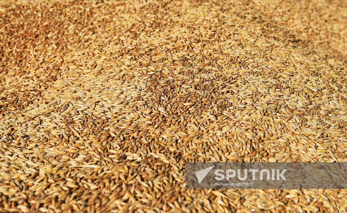 Ukraine Russia Military Operation Grain Elevator