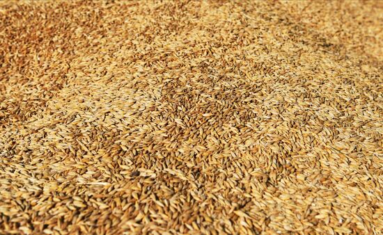 Ukraine Russia Military Operation Grain Elevator