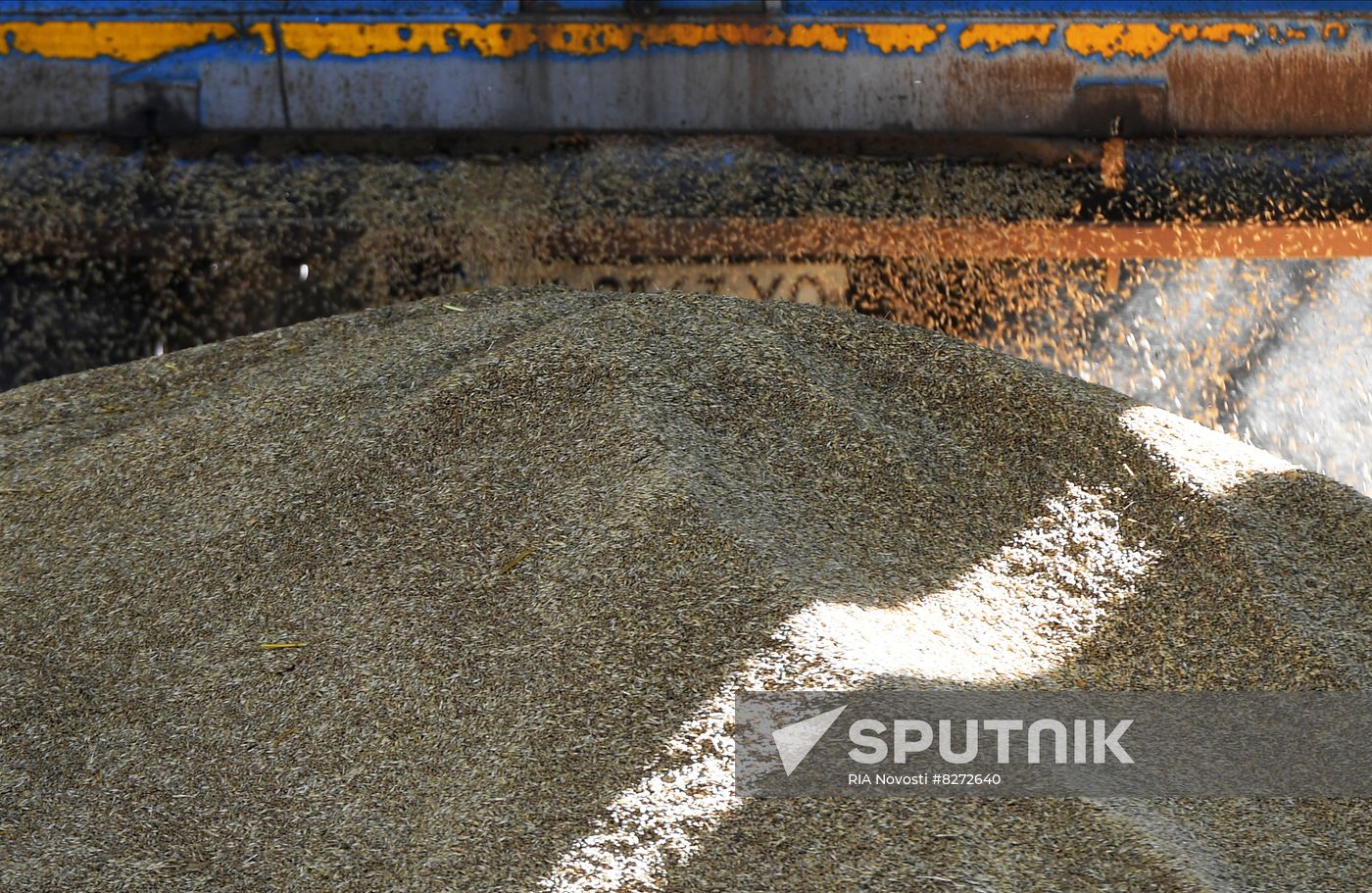 Ukraine Russia Military Operation Grain Elevator
