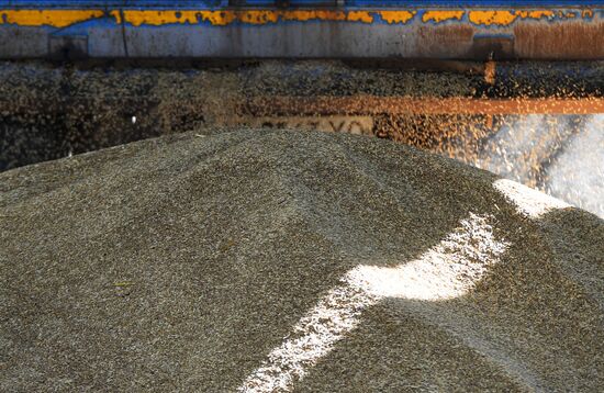 Ukraine Russia Military Operation Grain Elevator