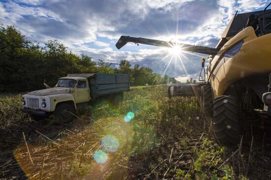 Ukraine Russia Military Operation Sunflower Harvesting
