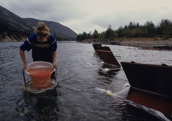 Fish farm on River Tumany