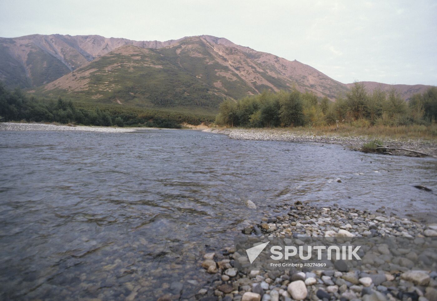 Fish-breeding facility on Tumany River