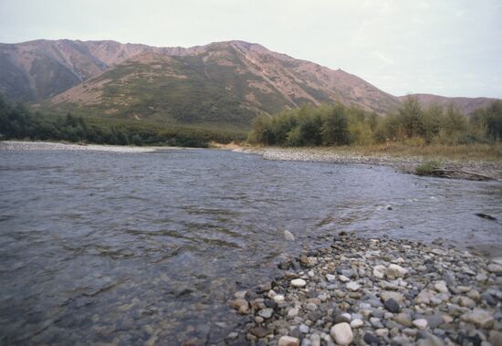 Fish-breeding facility on Tumany River
