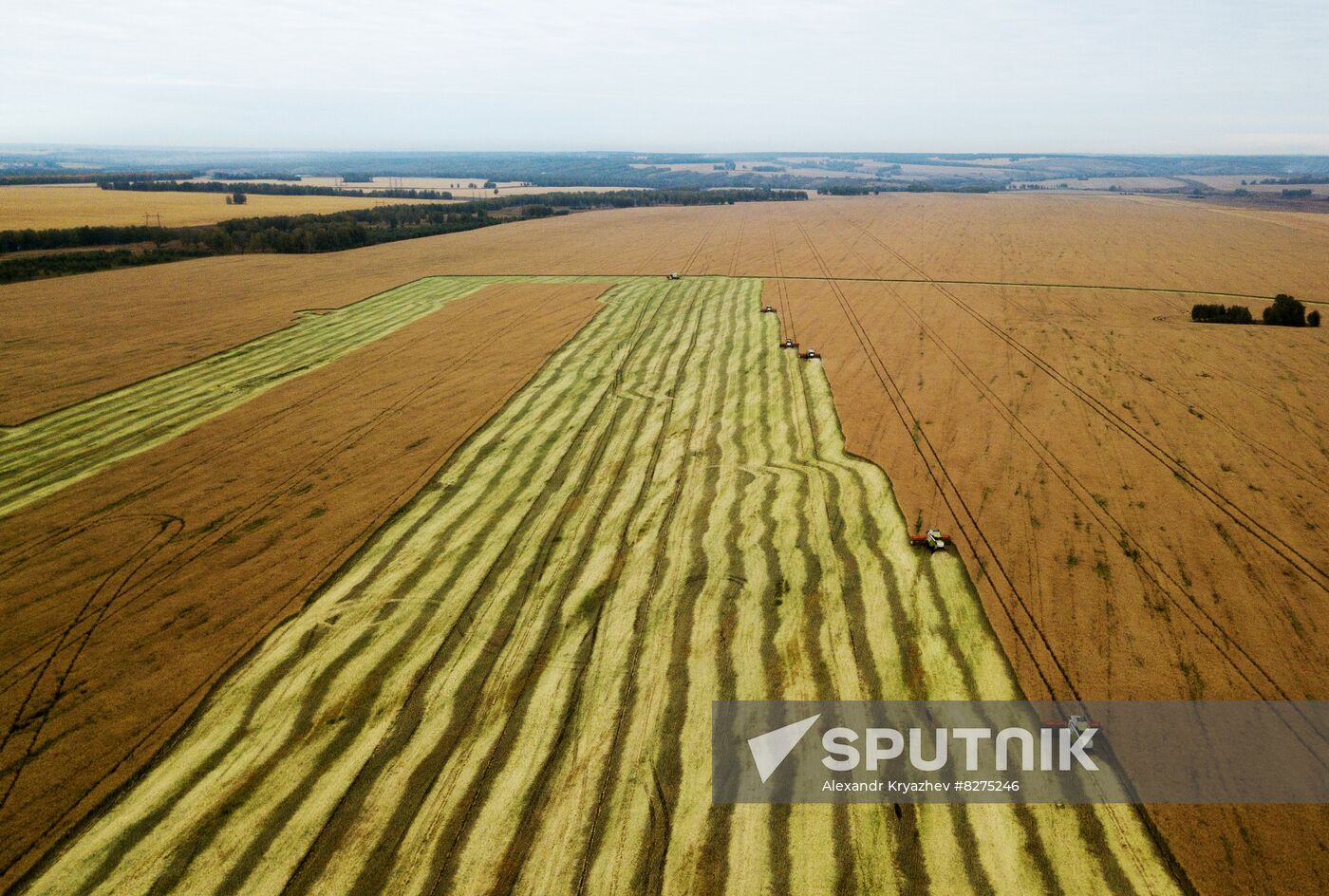 Russia Agriculture Harvesting
