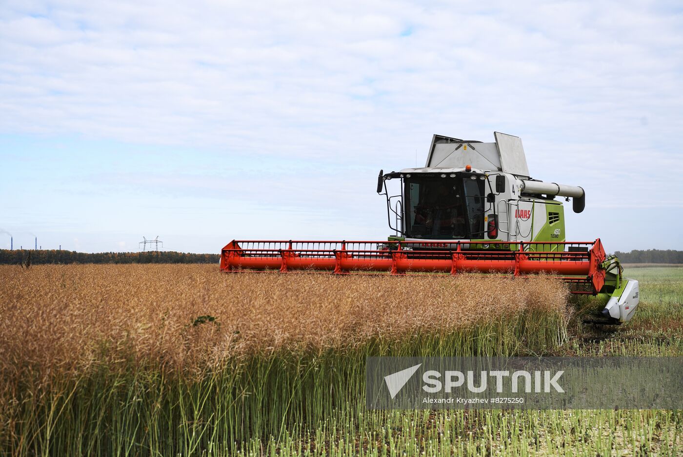 Russia Agriculture Harvesting