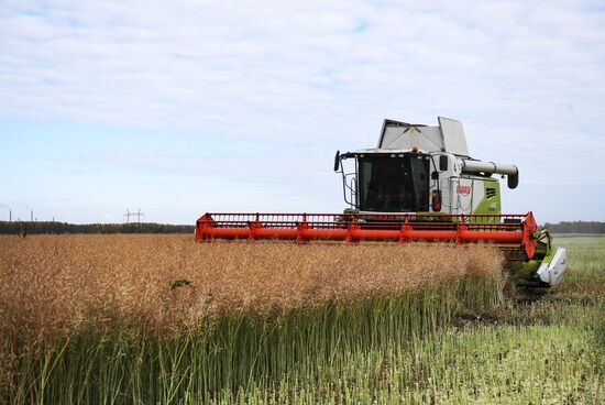 Russia Agriculture Harvesting