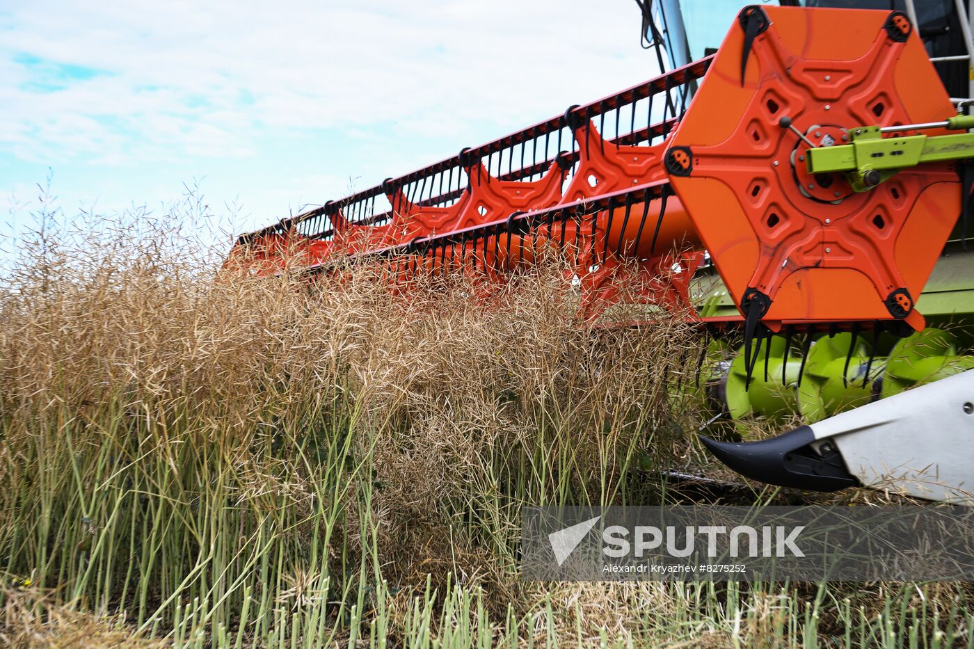 Russia Agriculture Harvesting