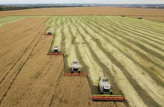 Russia Agriculture Harvesting