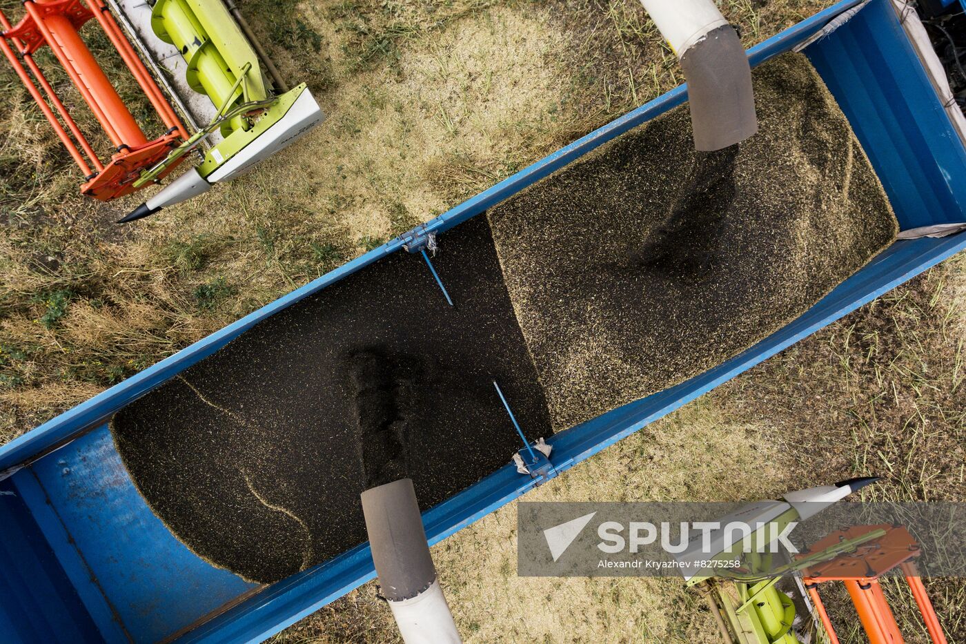 Russia Agriculture Harvesting