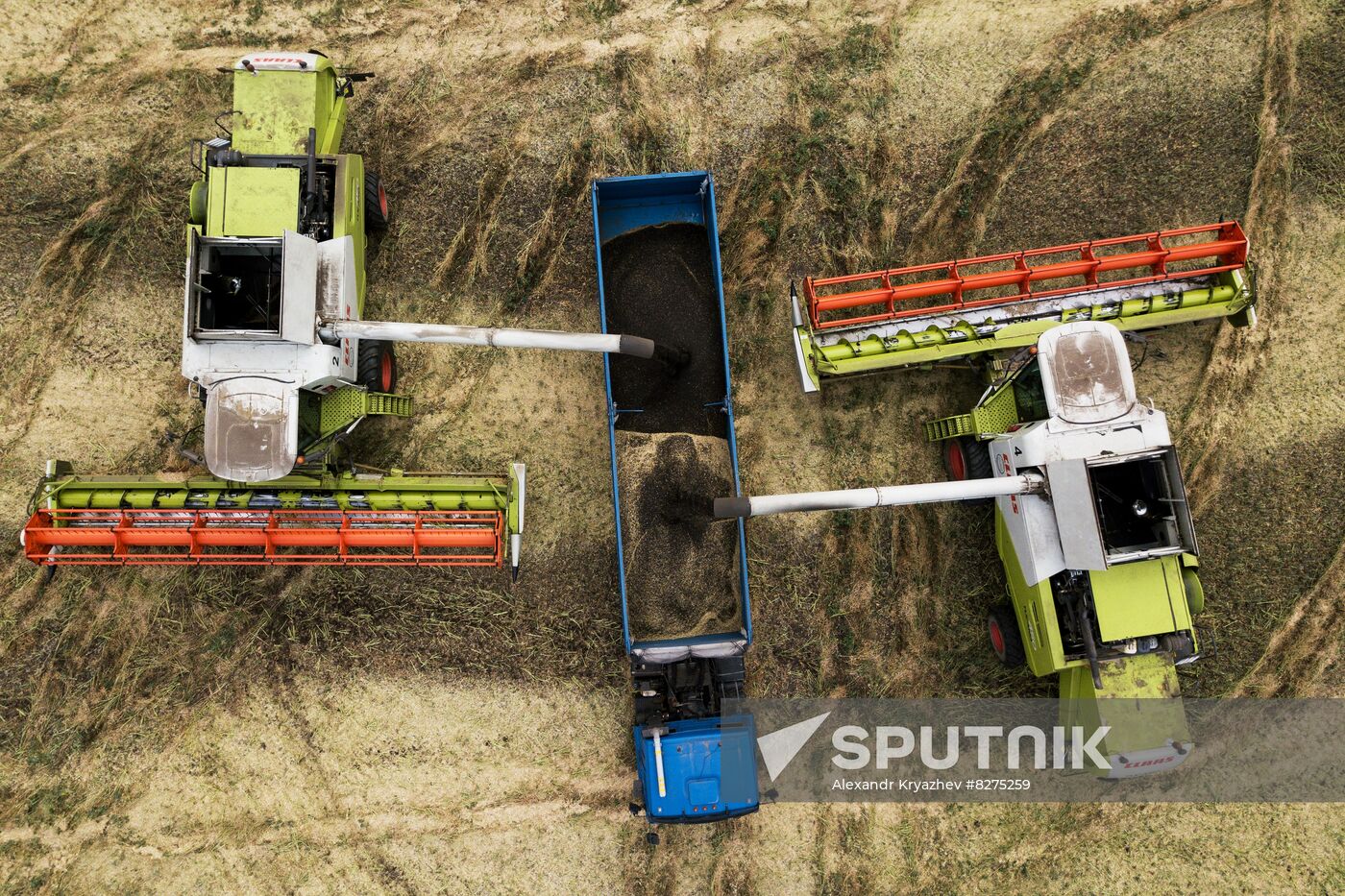 Russia Agriculture Harvesting