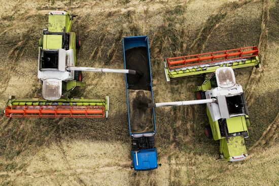 Russia Agriculture Harvesting