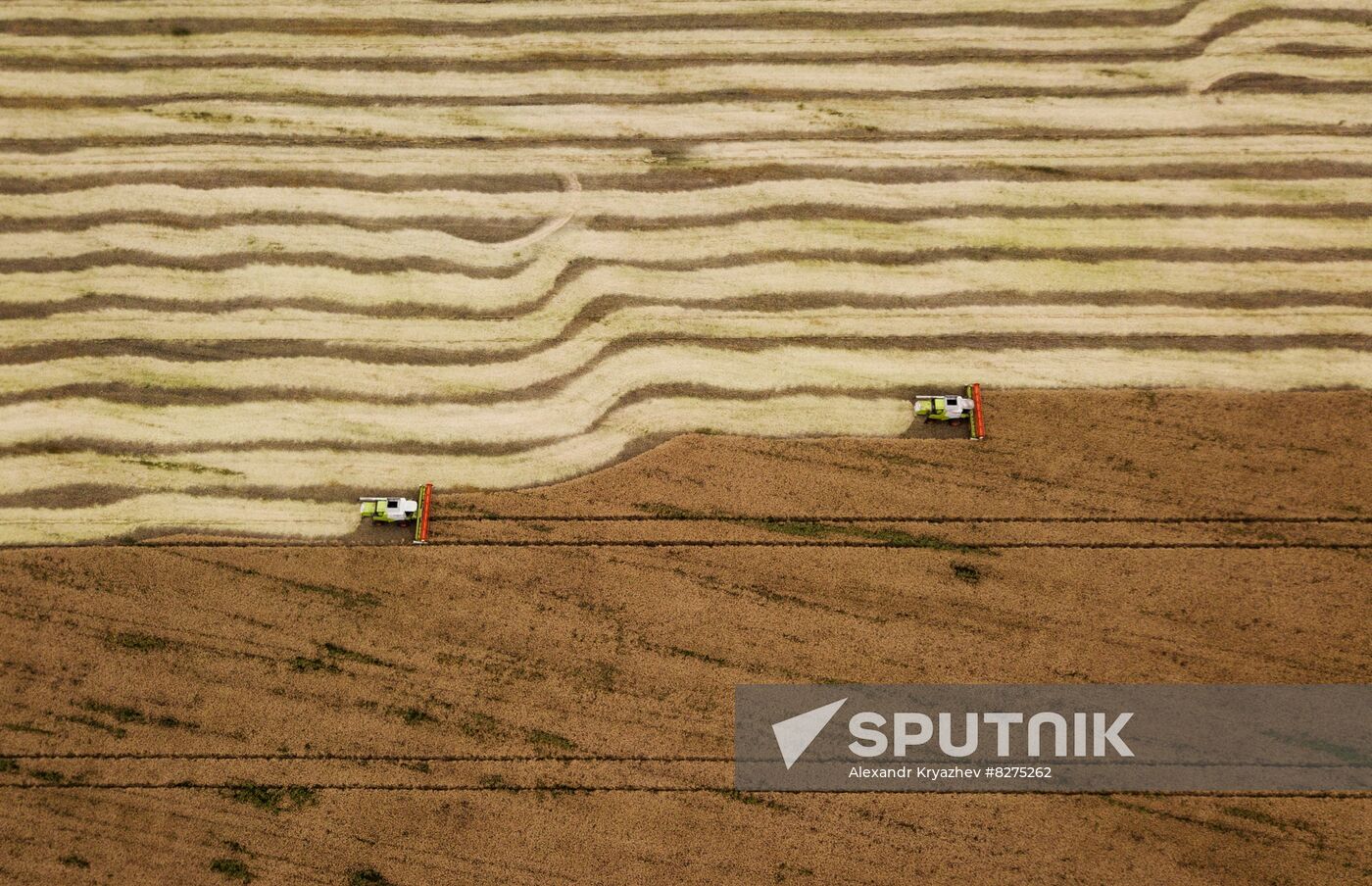 Russia Agriculture Harvesting