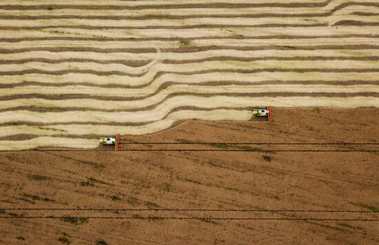 Russia Agriculture Harvesting
