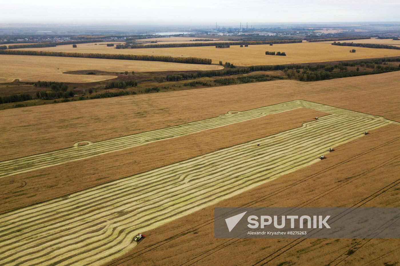 Russia Agriculture Harvesting