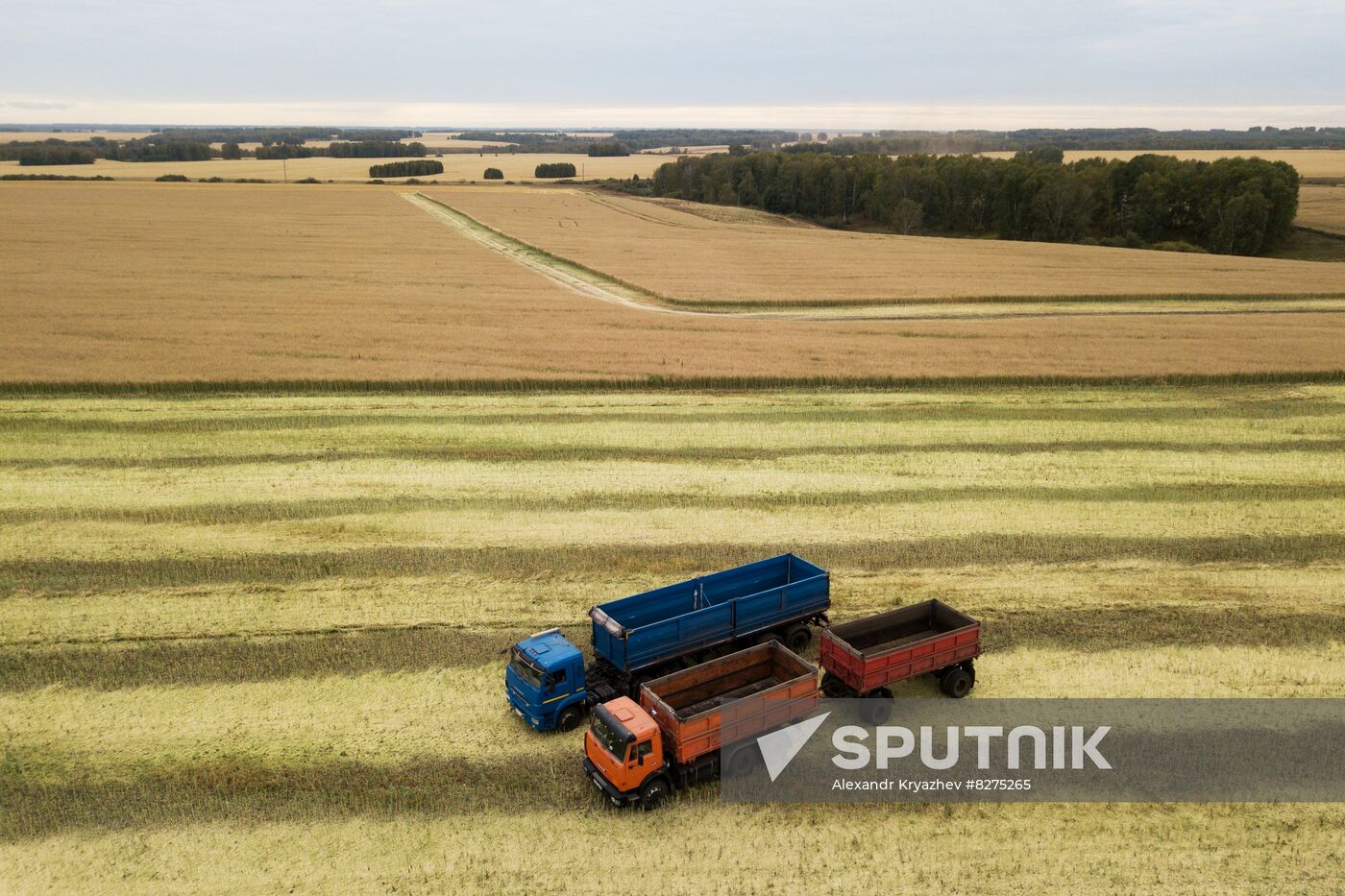 Russia Agriculture Harvesting