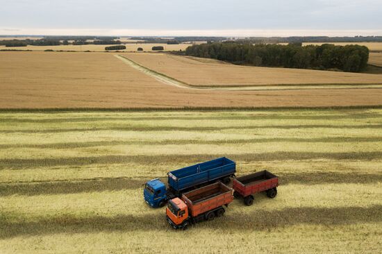 Russia Agriculture Harvesting