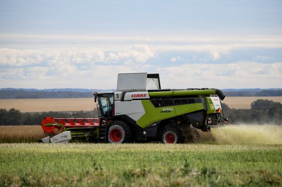 Russia Agriculture Harvesting