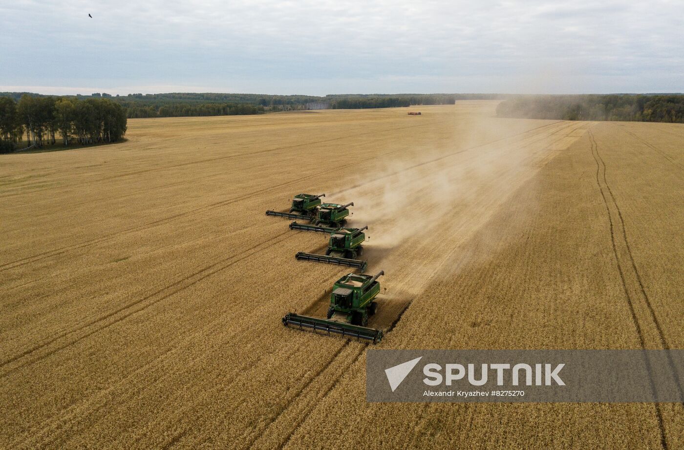 Russia Agriculture Harvesting