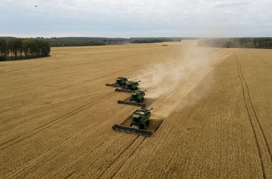 Russia Agriculture Harvesting
