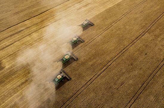 Russia Agriculture Harvesting