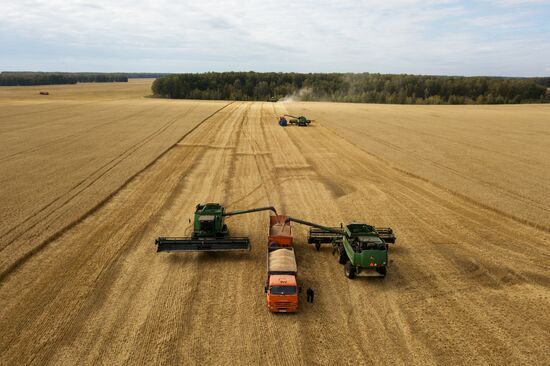 Russia Agriculture Harvesting