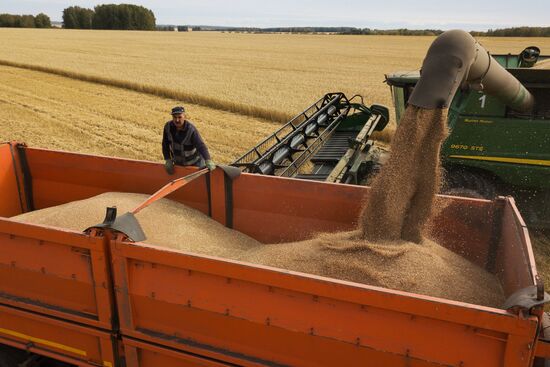 Russia Agriculture Harvesting