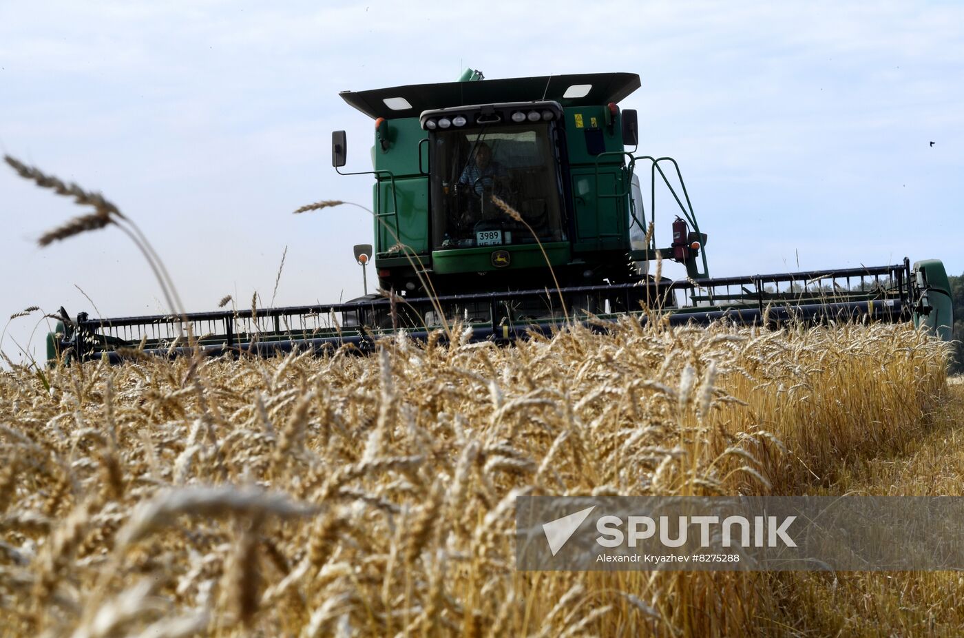 Russia Agriculture Harvesting