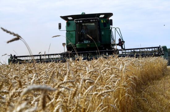 Russia Agriculture Harvesting