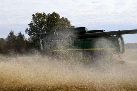 Russia Agriculture Harvesting